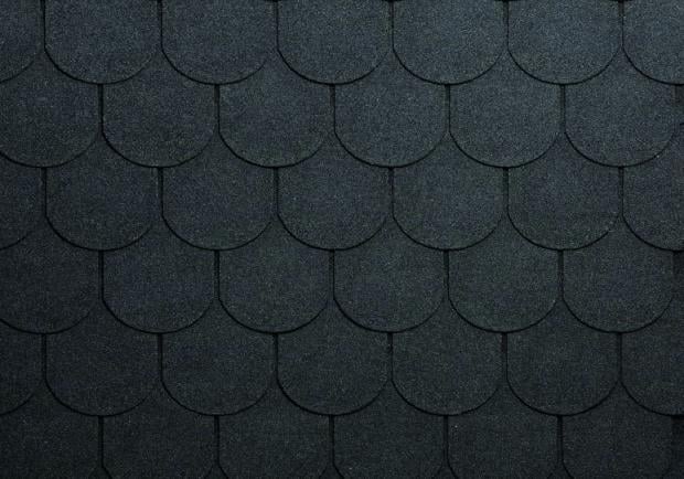 beaver-slate